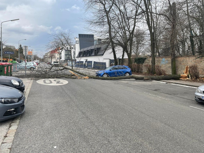In der Hoffingergasse in Wien-Meilding fiel ein Baum durch den Sturm um. 