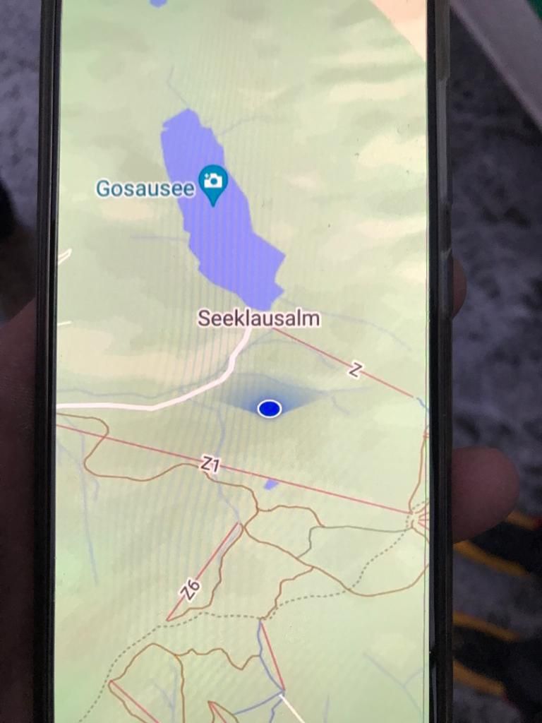 Dieses Handyfoto rettete 14-Jähriger das Leben: Es zeigt nämlich genau, wo das Mädchen am Berg war.