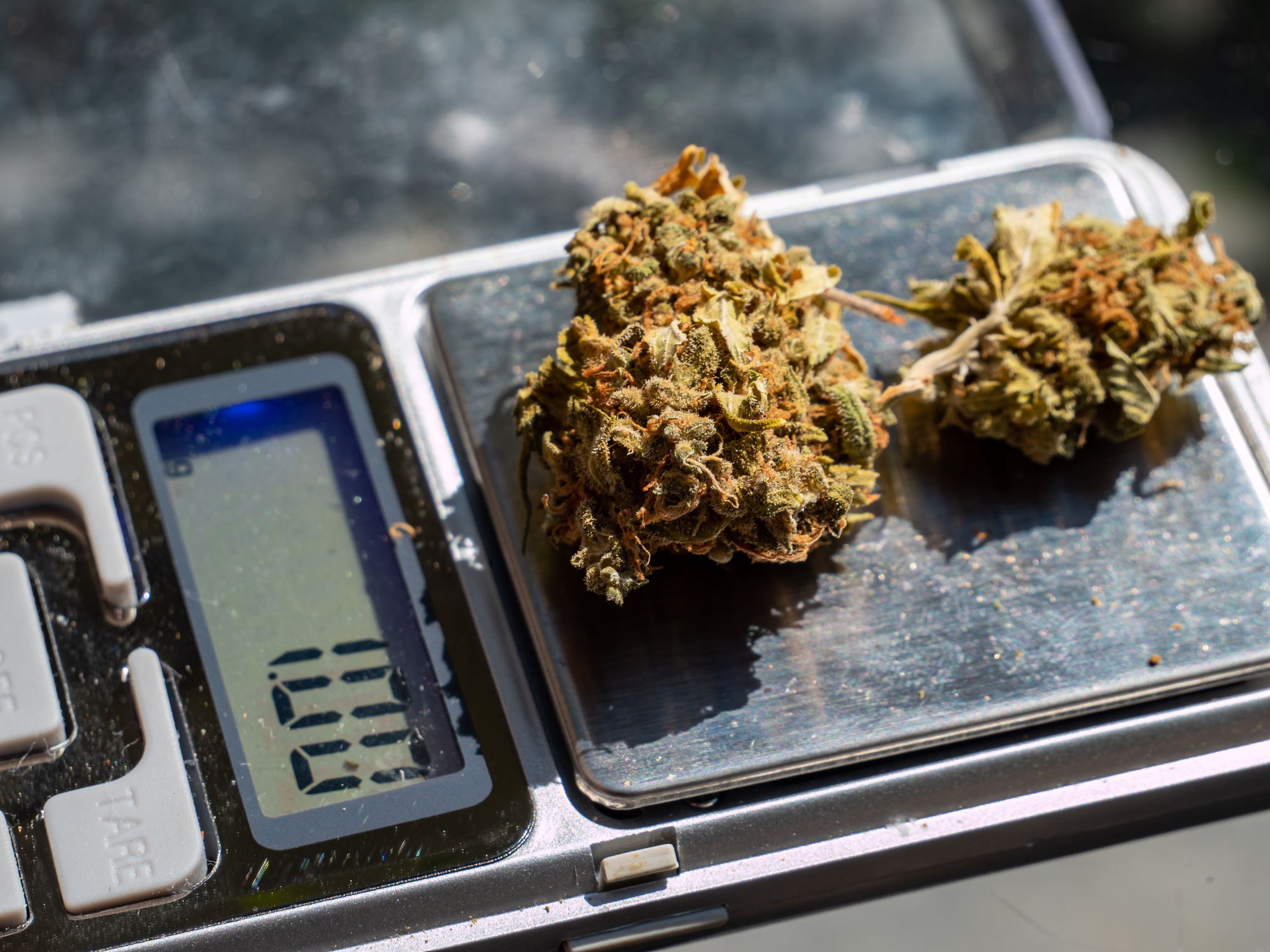 Symbolfoto von Marihuana auf einer Waage.