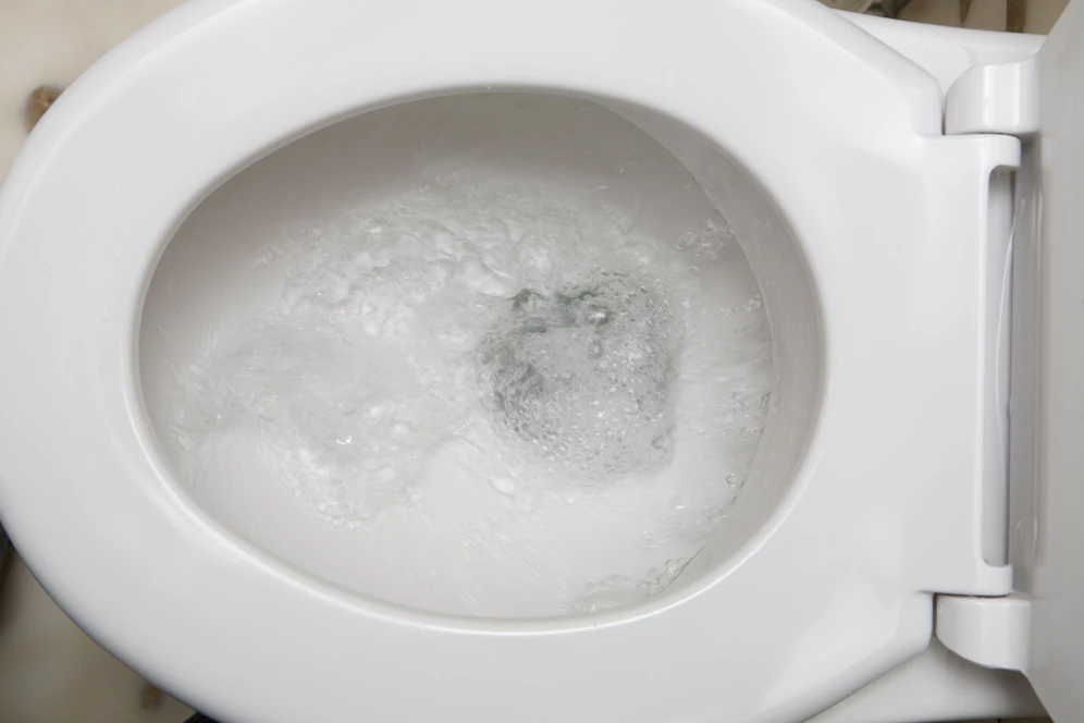 Ein Ehepaar in Italien erhielt nach 18 Jahren eine Entschädigung. Grund dafür war eine zu laute Toilettenspülung der Nachbarn.