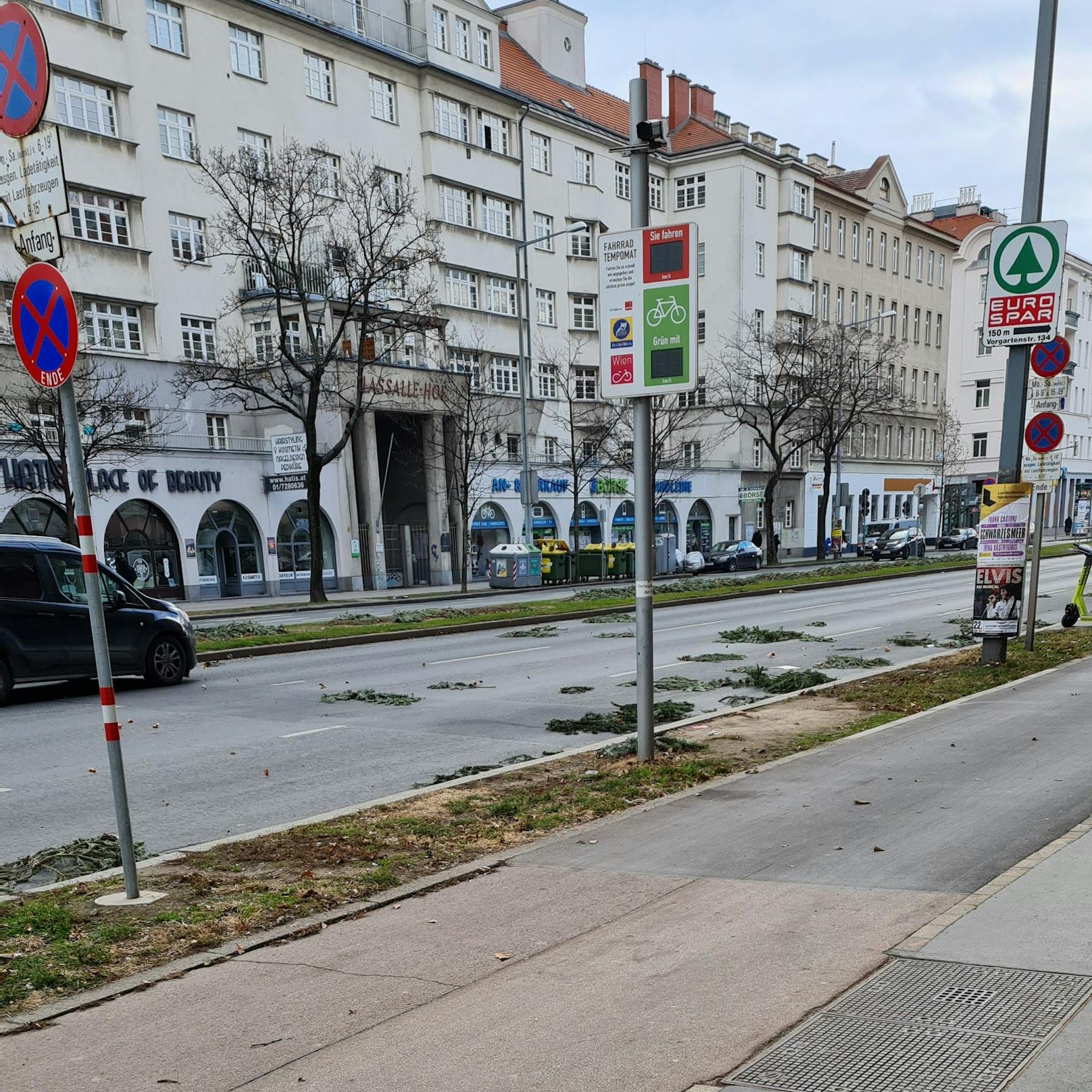 Auf der Lassallestraße in der Wiener Leopoldstadt liegen unzählige Äste auf der Fahrbahn.