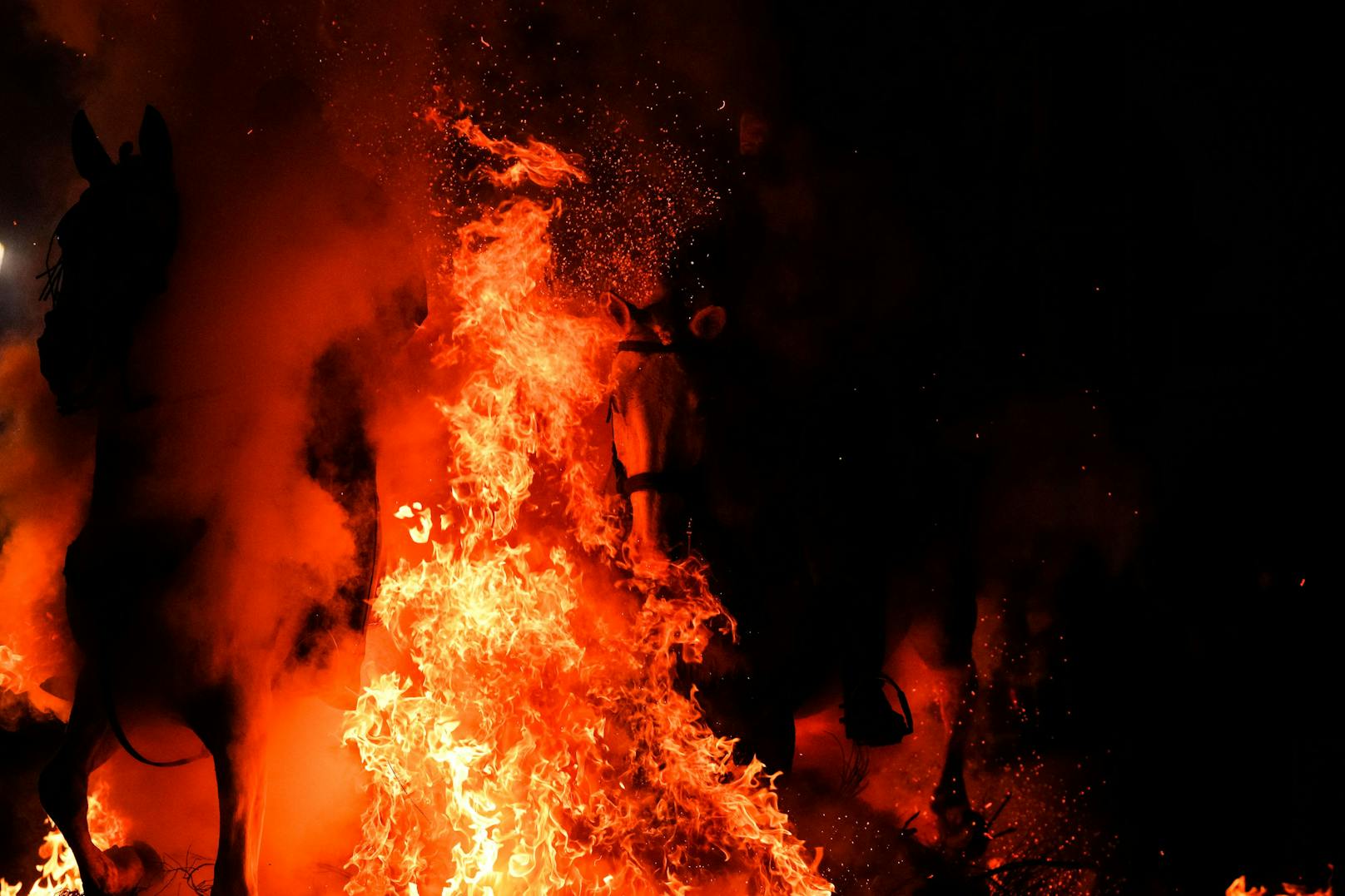 Doch auch die Bevölkerung ist mittlerweile von der Sinnhaftigkeit des Festes nicht mehr überzeugt. 