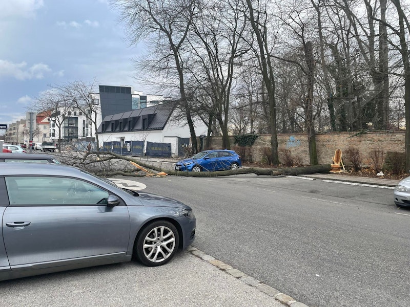 In der Hoffingergasse in Wien-Meilding fiel ein Baum durch den Sturm um. 