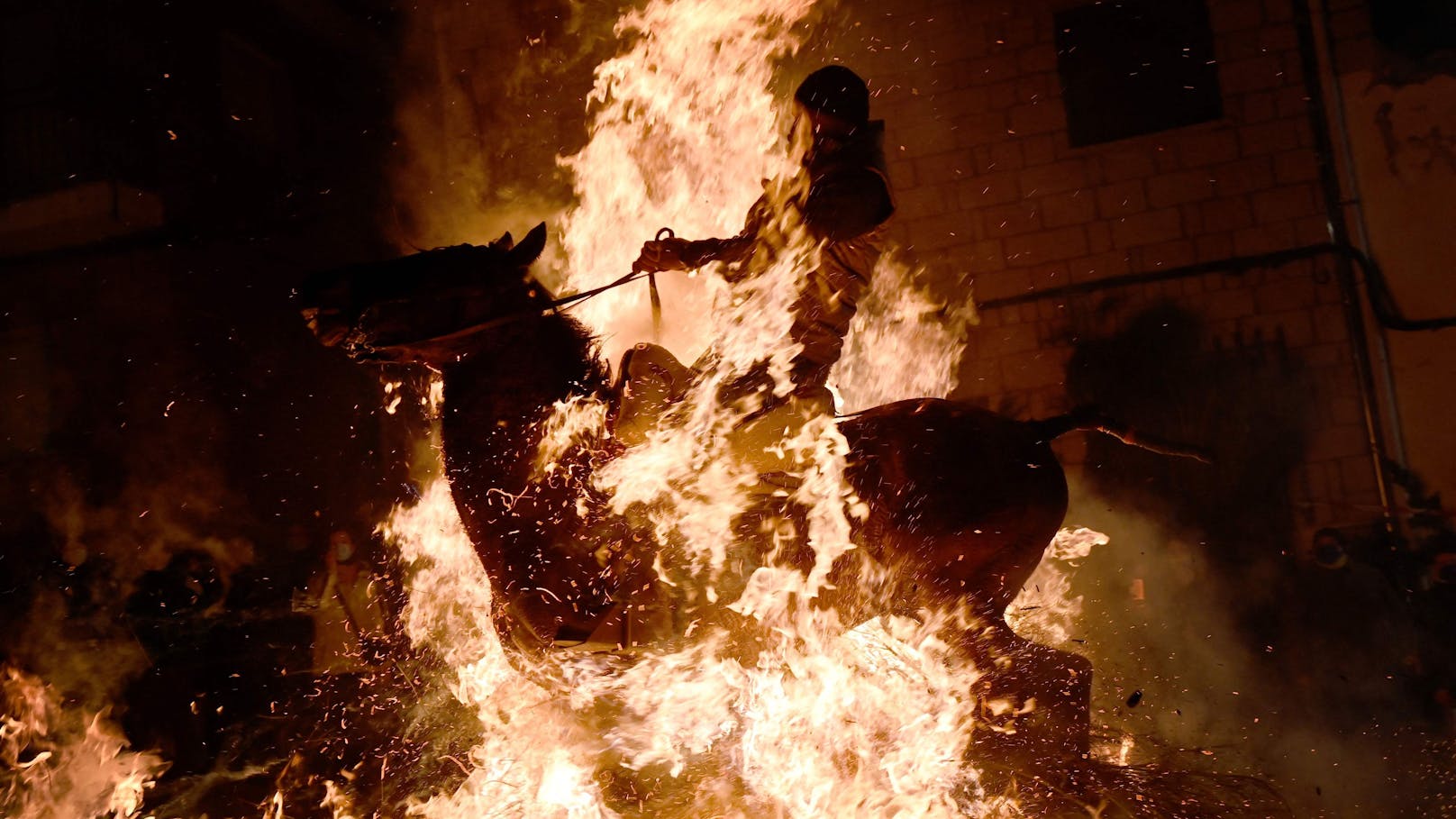 Für ein spanisches Brauchtum zu Ehren des Heiligen Antonius (Schutzpatron der Bauern und Nutztiere) müssen Pferde mit ihren Reitern durchs Feuer gehen. 