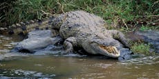 Krokodil zerfleischt Mädchen vor Augen seiner Schwester