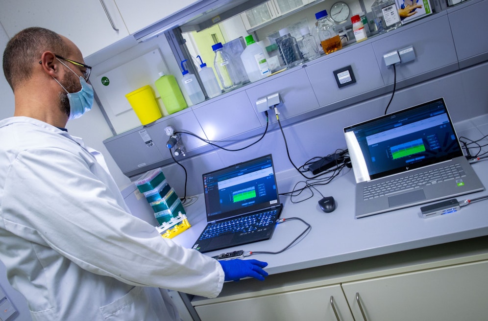 Auswertung eines PCR-Tests