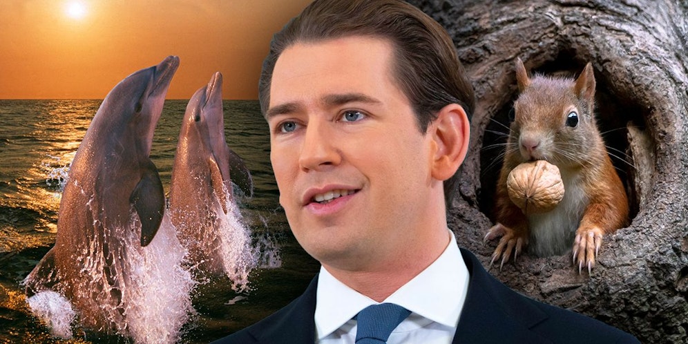 2016 sahen die Österreicher Sebastian Kurz noch als schnittigen Delfin – und auch als emsiges Eichhörnchen.