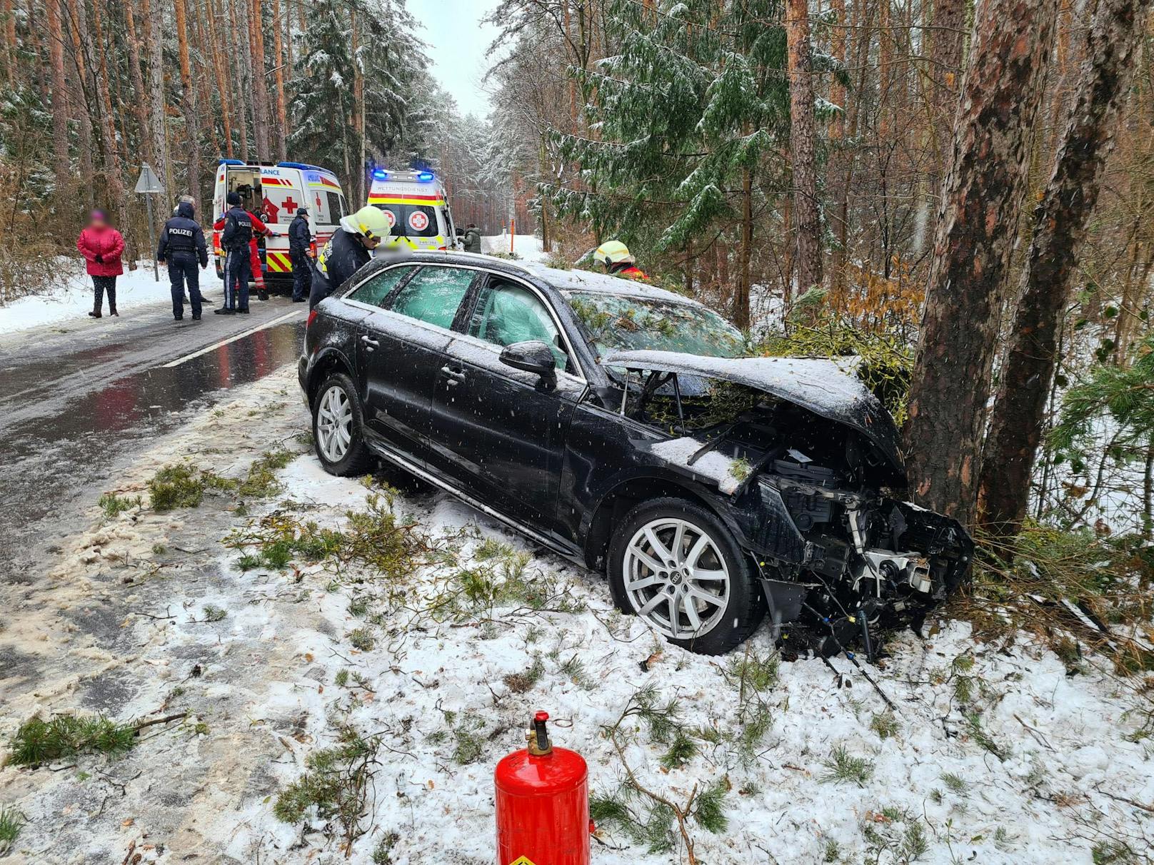 In Wartmannstetten kam ein schwarzer Audi von der Fahrbahn ab und fuhr gegen einen Baum.