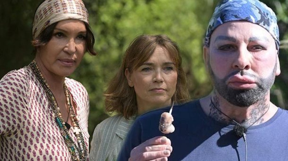 Anouschka Renzi, Tina Ruland, Harald Glööckler