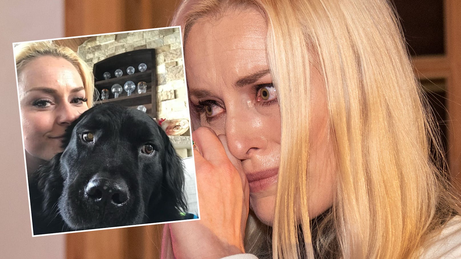 Lindsey Vonn trauert um ihrem Hund Bear