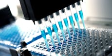Salzburger Labor wertet PCR-Tests aus Niederlanden aus