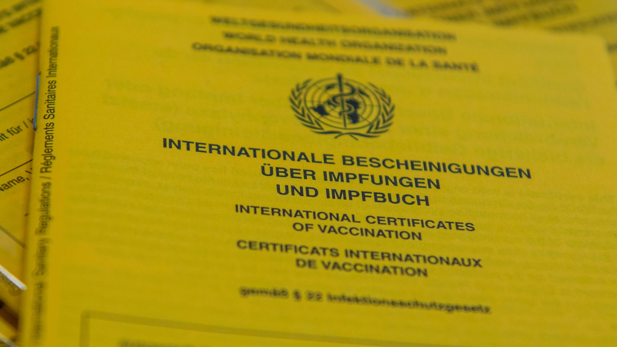 Download von www.picturedesk.com am 24.01.2022 (14:24).  PRODUCTION - 17 January 2022, Bavaria, Dillingen: Blank vaccination cards are on file at the Criminal Investigation Department. These vaccination cards were seized in the course of the investigation against a doctor who issued patients vaccination cards with an entry of a Corona vaccination without having vaccinated them. (to dpa "Vaccination fraud continues - investigators reckon with high number of unreported cases") Photo: Stefan Puchner/dpa - 20220117_PD11417 - Rechteinfo: Rights Managed (RM)