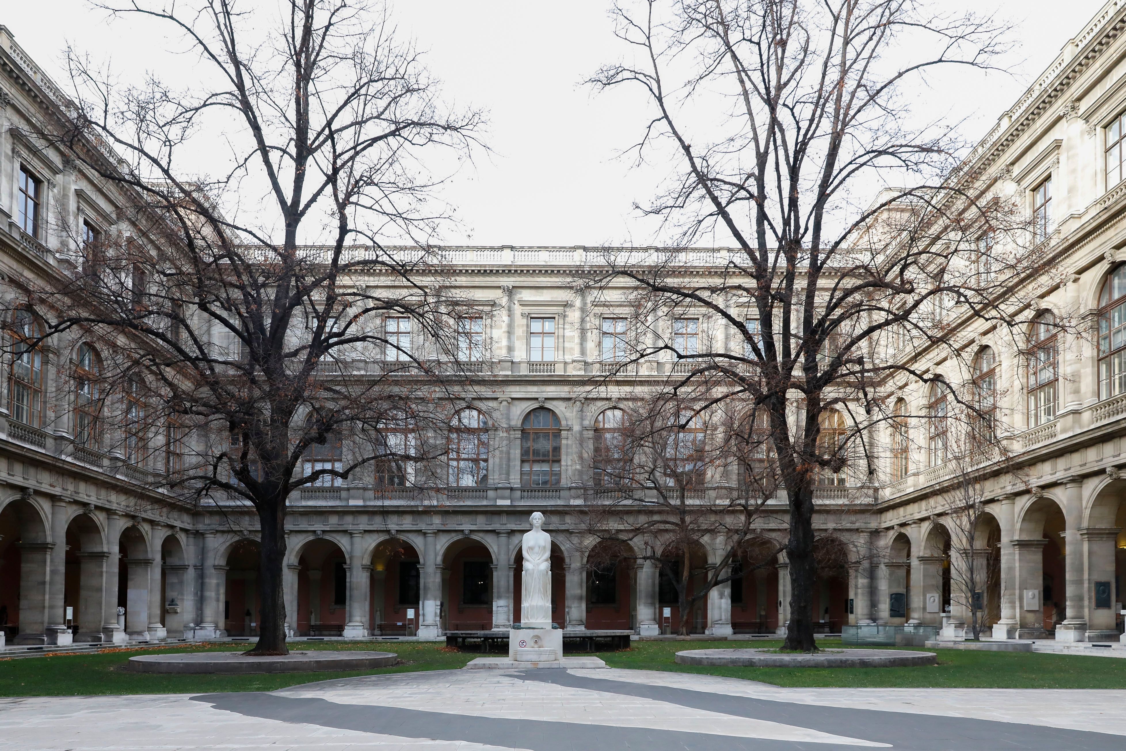 Die Universität von Wien- 