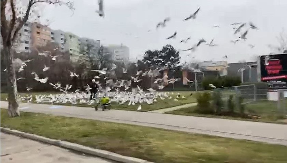 Mittelmeerfeeling mitten in der Donaustadt...
