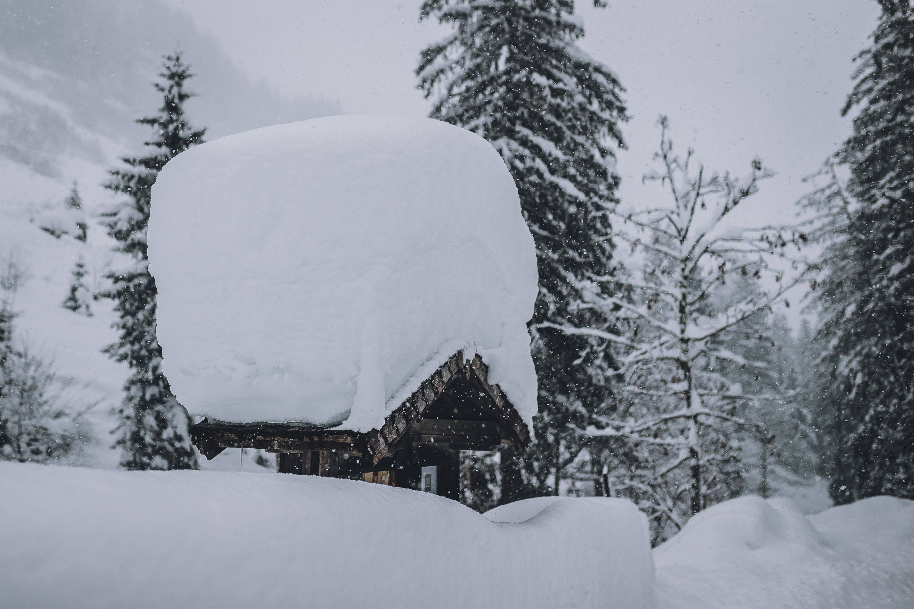 Der Schnee gibt sich noch nicht geschlagen.