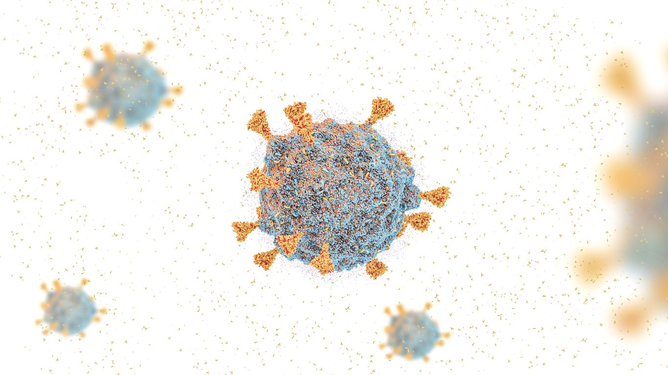COVID-19 virus SARS-COV-2 OMICRON strain, covid-19 South African variant B.1.1.529 omicron  3d rendering