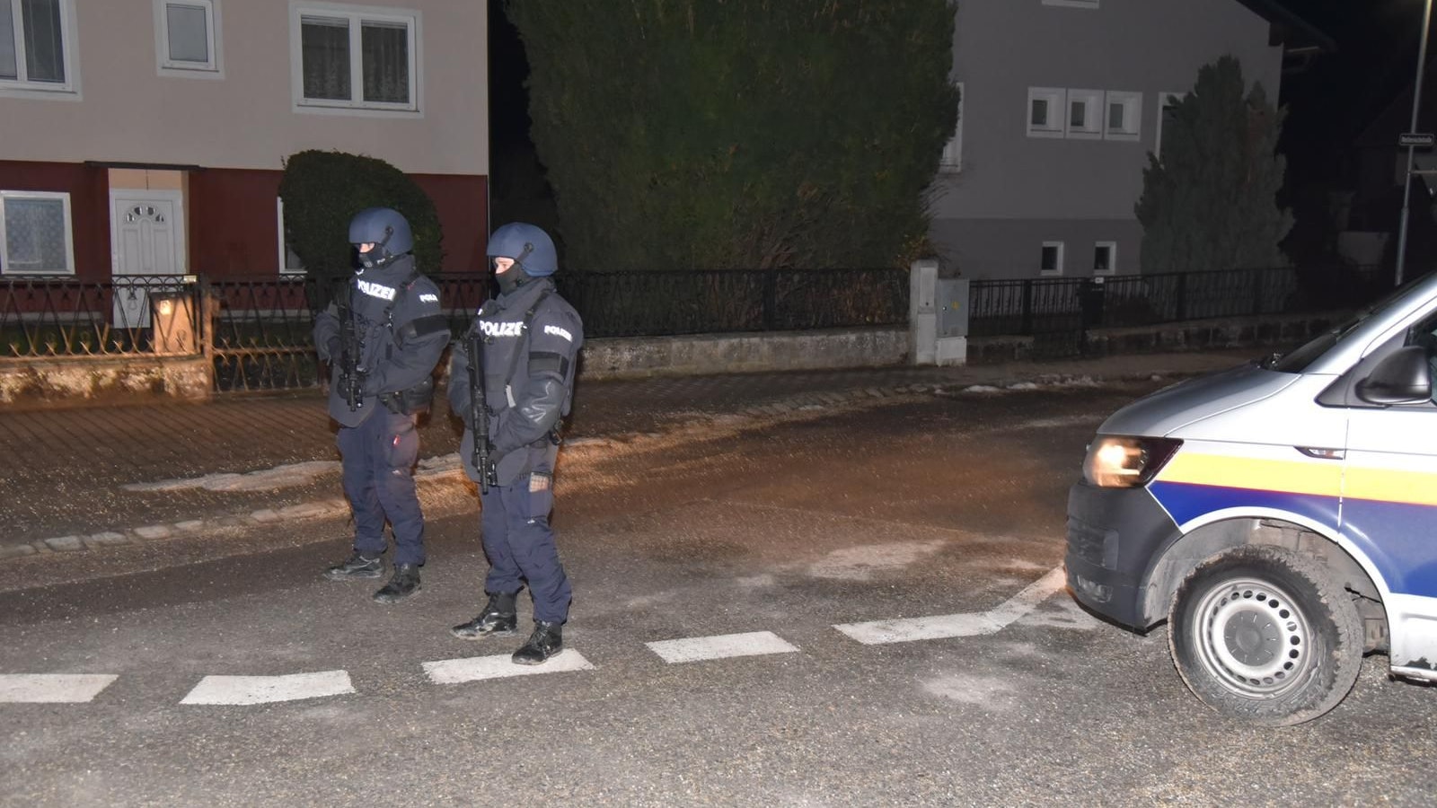 Cobra in Asparn/Zaya