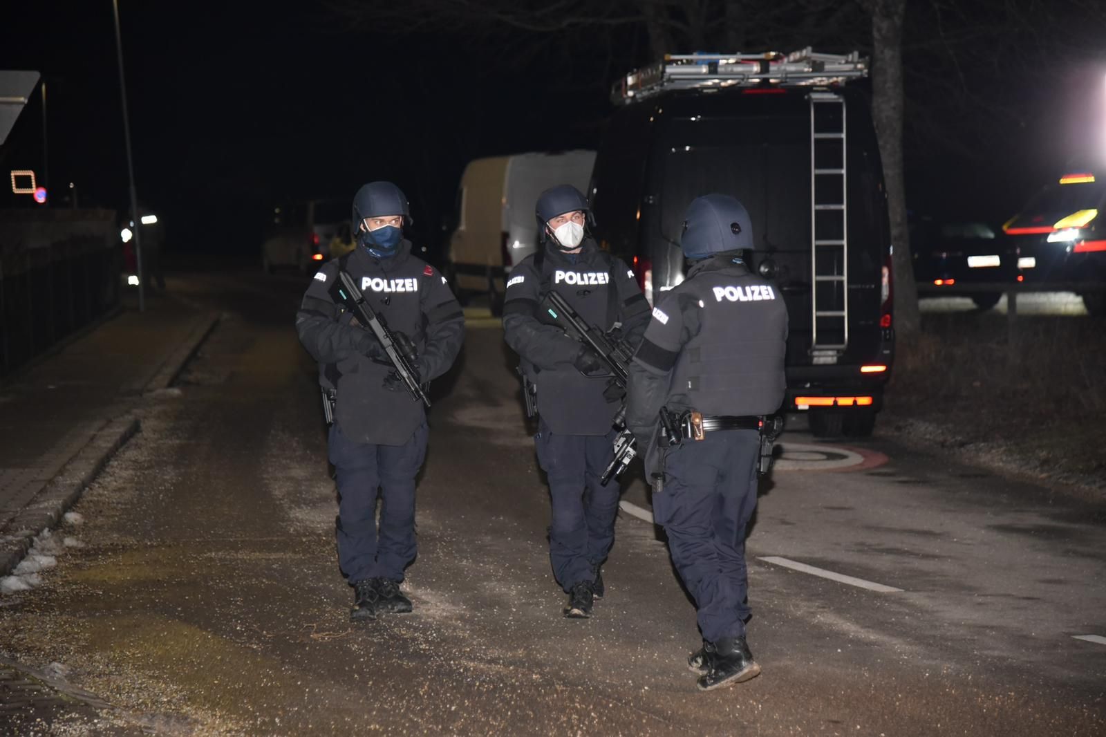 Cobra in Asparn/Zaya