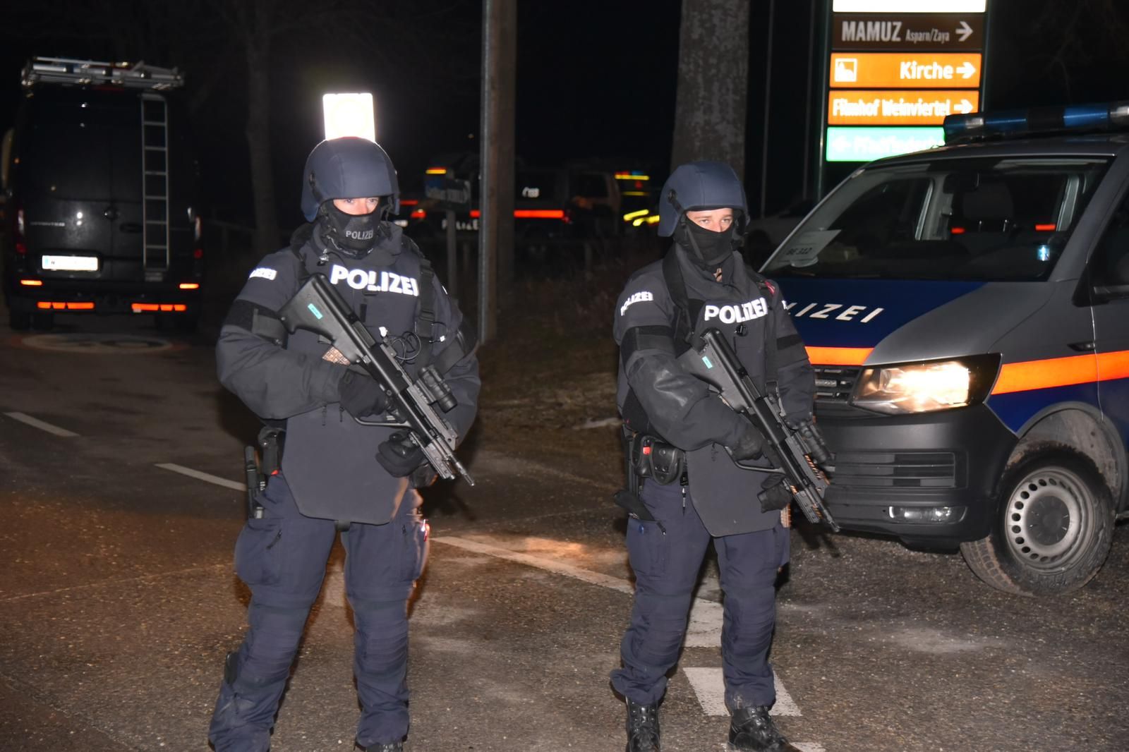 Cobra in Asparn/Zaya