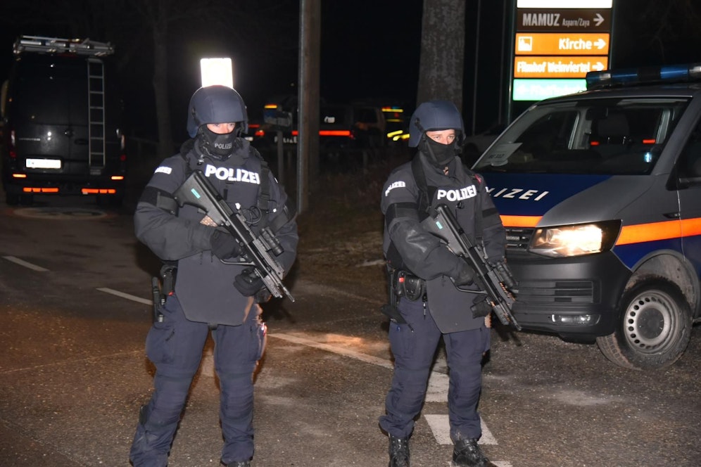 Cobra in Asparn/Zaya