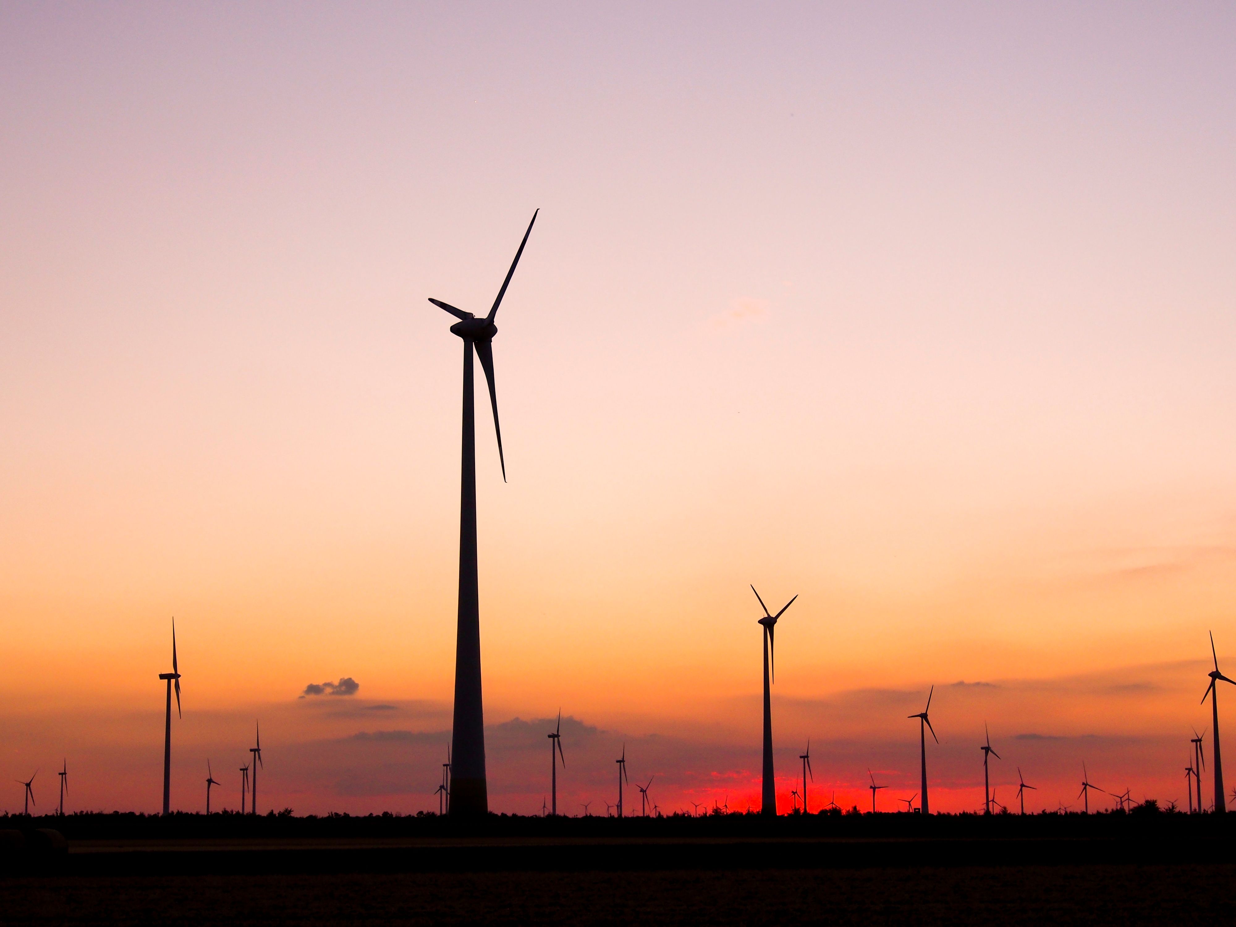 Download von www.picturedesk.com am 26.01.2022 (15:24).  windpark, Burgenland, Austria - 20150720_PD8165 - Rechteinfo: Rights Managed (RM)