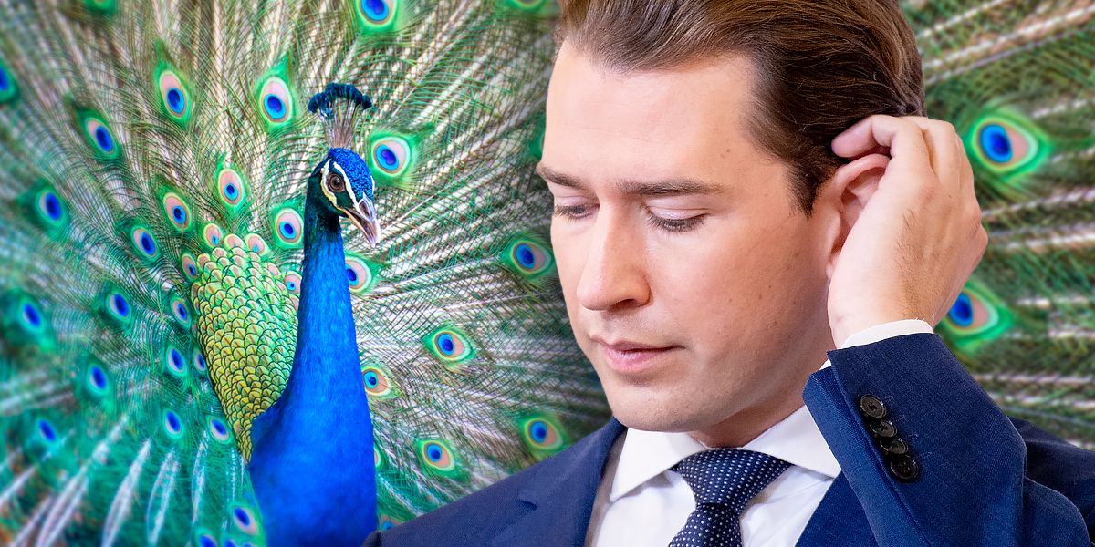Sebastian Kurz wurde von den Österreichern als "hinterfotziger Pfau" gesehen.