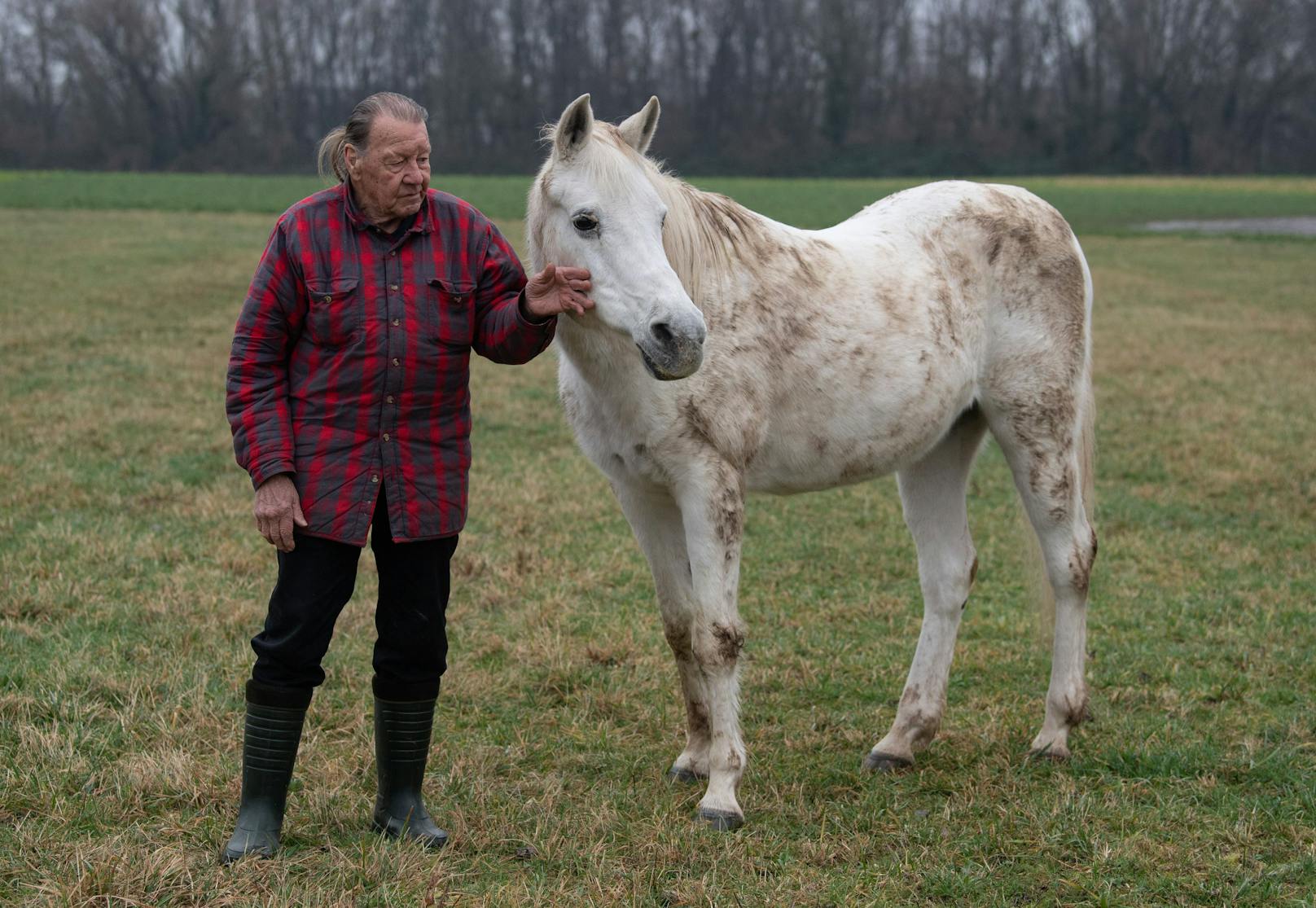 Die Krebstherapie scheint anzuschlagen und hält "Jenny" auch nicht von ihren täglichen Spaziergängen ab. 