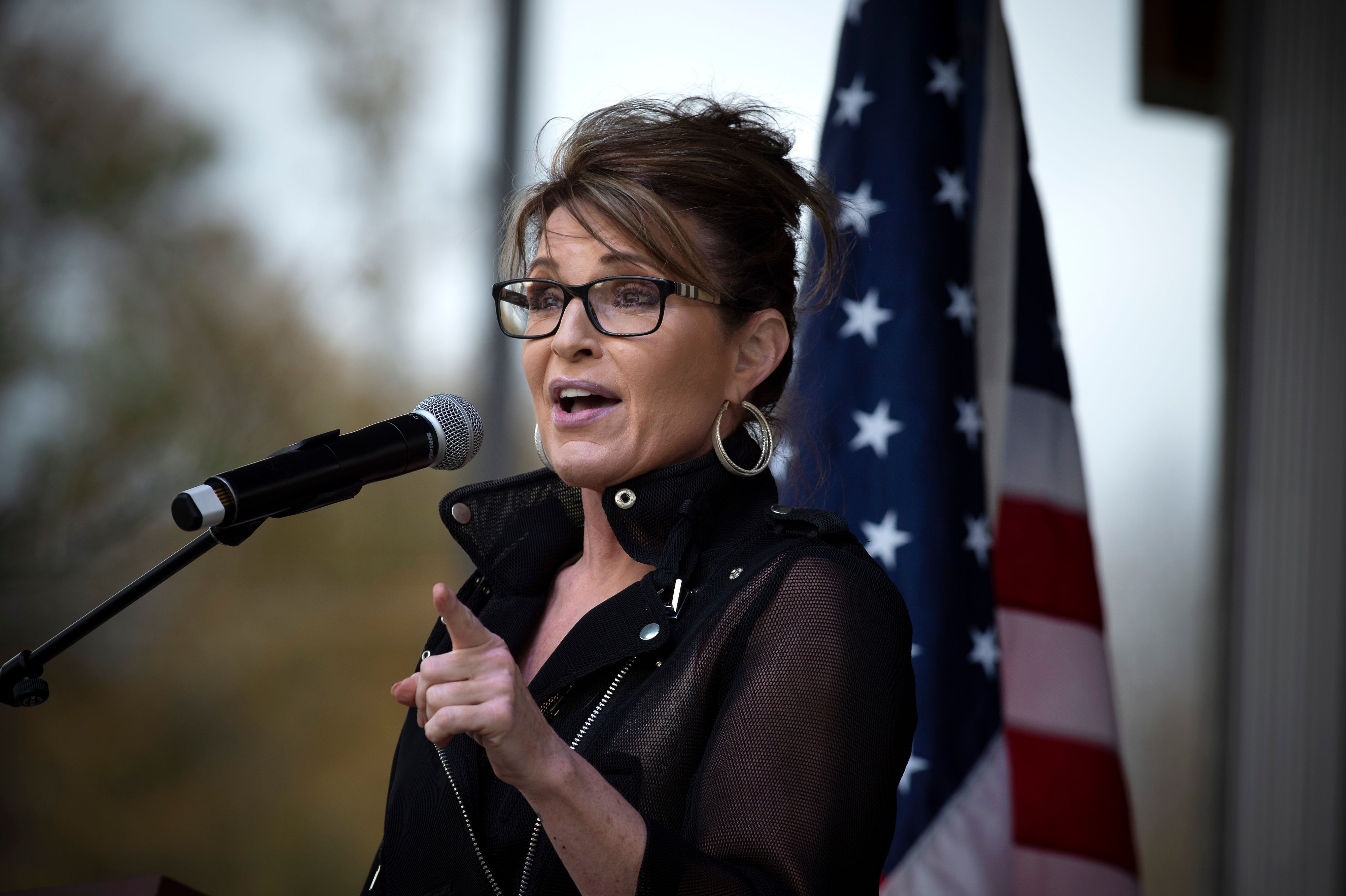 Sarah Palin