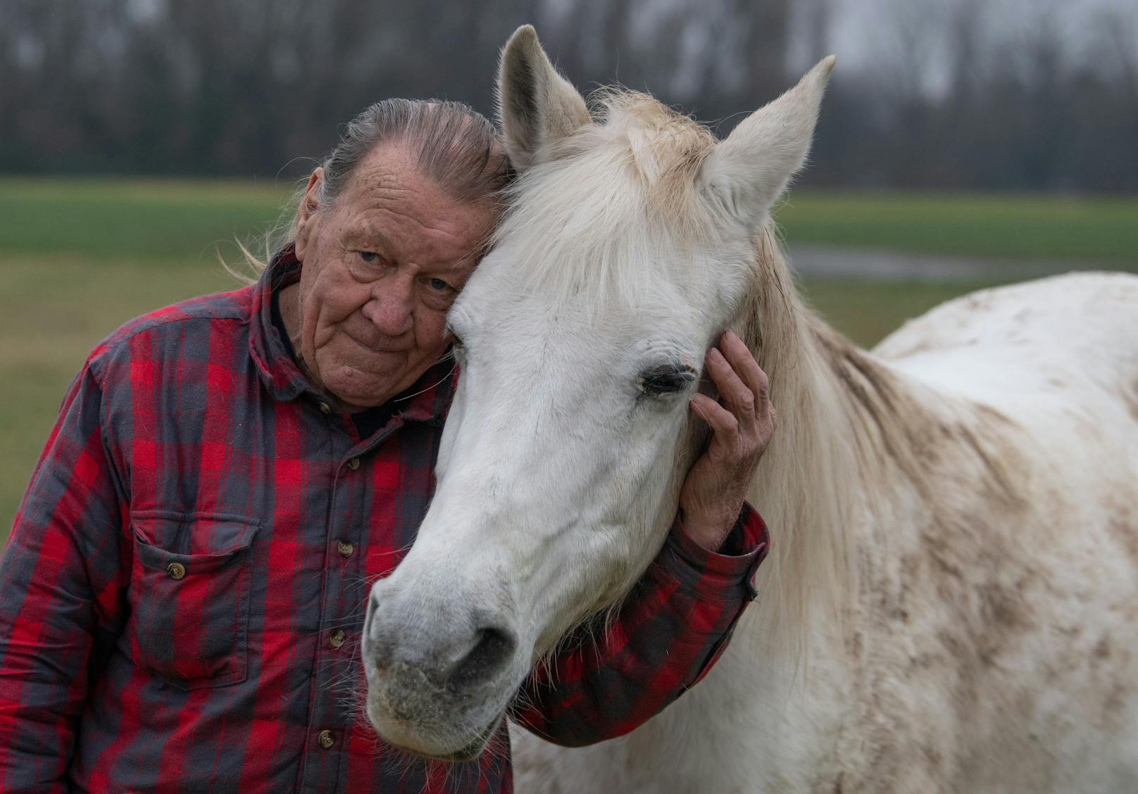 Jeden Tag fährt der Pferdeliebhaber mit seiner "Jenny" zwei Stunden nach Hannover und wieder zurück um an einer Krebstherapie-Studie teilzunehmen. 