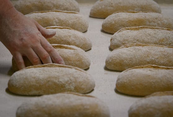 Der Job des Bäckers steckt in einer Krise - Wolfgang Bartl sucht mittlerweile dringend Personal.