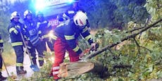 Gefährlicher 120-km/h-Sturm fegt jetzt über Österreich