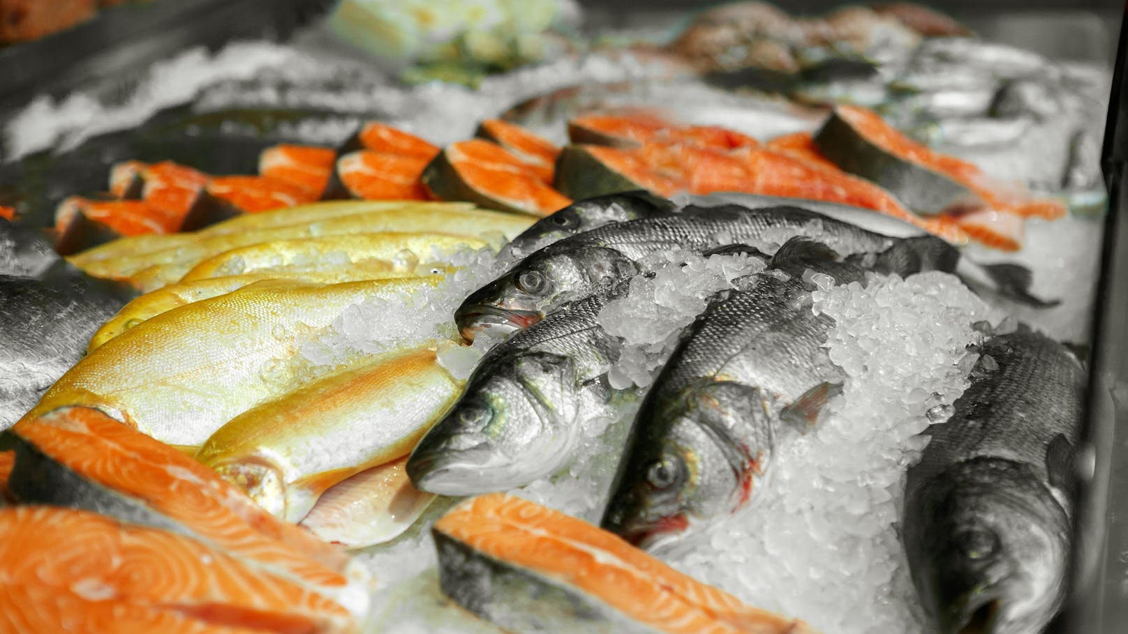 <strong>Fisch:</strong> Ciguatoxin-Vergiftungen gehören weltweit zu den häufigsten Fischvergiftungen. Produziert wird das Gift von Einzeller, die auf Korallen leben. Werden diese von Fischen gefressen, kann Ciguatoxin am Ende auch in unserem Körper landen. Betroffene leiden an einer Magen-Darm-Erkrankung oder Muskel- und Gelenkschmerzen. Allerdings zerstört Kochen oder Grillen Cigatoxin nicht.