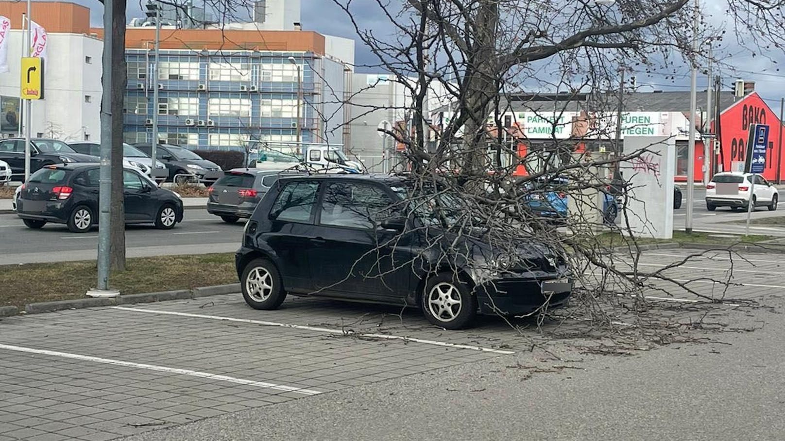 Eine <em>"Heute"</em>-Lesereporterin entdeckte im 22. Bezirk dieses Auto auf einem Parkplatz.