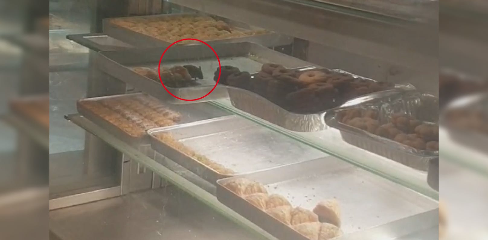 In einer türkischen Bäckerei in Ottakring gab es in der Vitrine nicht nur Baklava.