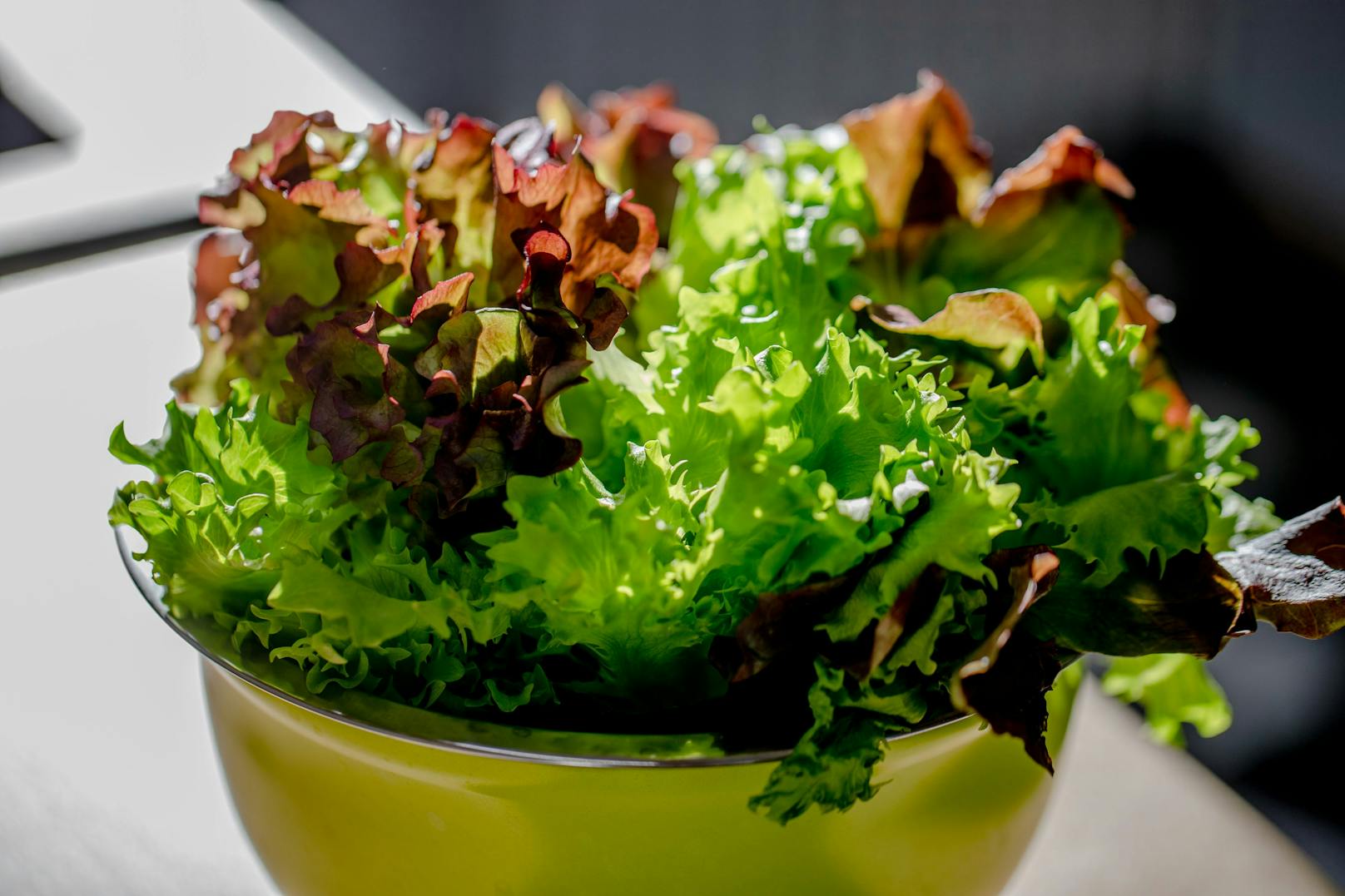 <strong>Grüner Salat: </strong>Auch pflanzliche Lebensmittel können mit Bakterien belastet sein. Besonders häufig ist dies mit dem Norovirus Genogruppe I der Fall. Wer an einer Magen-Darm-Infektion leidet, sollte seine Hände gründlich waschen, um Viren nicht auf Lebensmittel zu übertragen. Aber auch auf der anderen Seite gilt: Obst und Gemüse waschen. Ungewaschenes Obst und Gemüse, vor allem aber ungewaschener Salat, sollte gemieden werden.