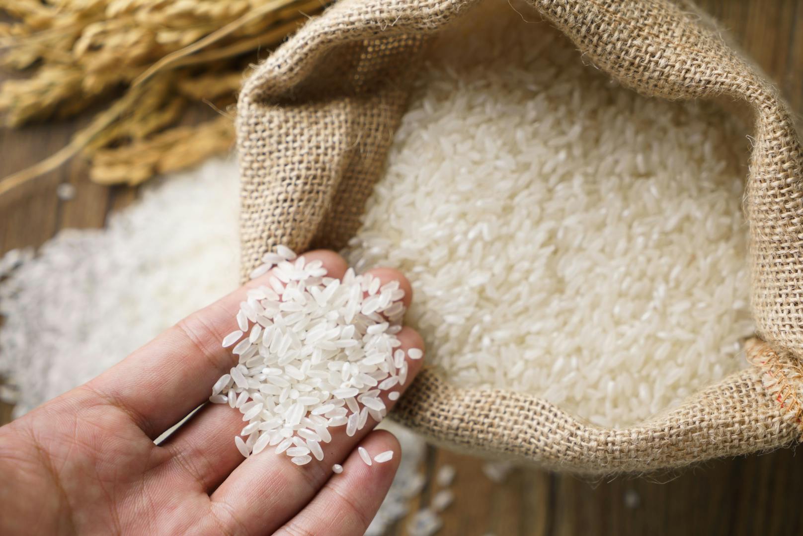 <strong>Reis: </strong>Bacillus cereus ist ein sporenbildendes Bakterium unter anderem in Reis. Hitze tötet zwar den Keim ab, die Sporen können aber überleben. In geringer Zahl ist das Bakterium nicht schädlich, in großen Mengen kann es aber eine Magen-Darm-Infektion verursachen. Bacillus cereus vermehrt sich bei Temperaturen zwischen sieben und 50 Grad. Reis sollte daher kühl gelagert und lange Warmhaltephasen vermieden werden.