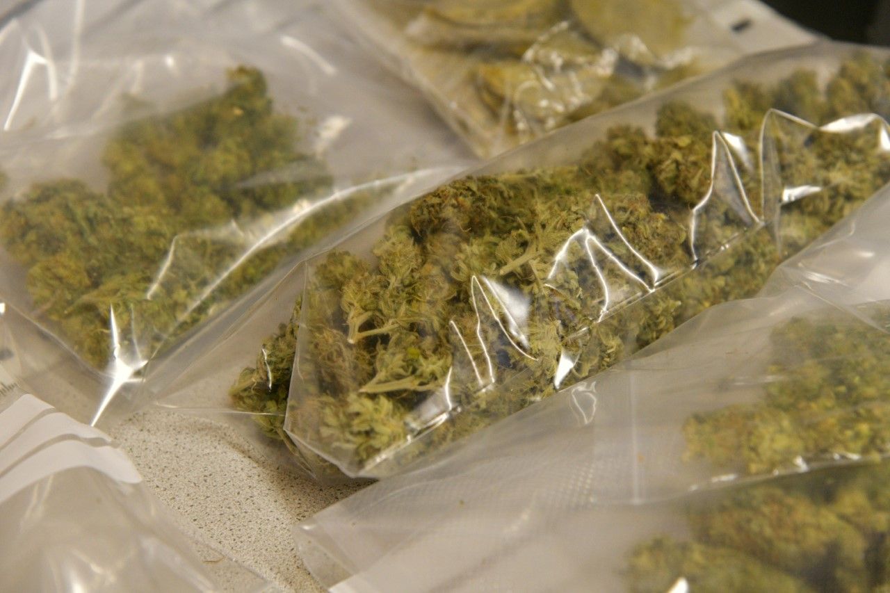 Die Beamten stellten über ein Kilogramm Cannabiskraut sicher. 