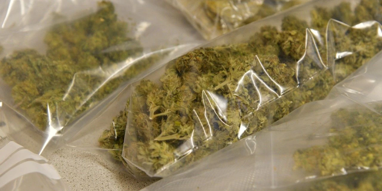 Die Beamten stellten über ein Kilogramm Cannabiskraut sicher. 