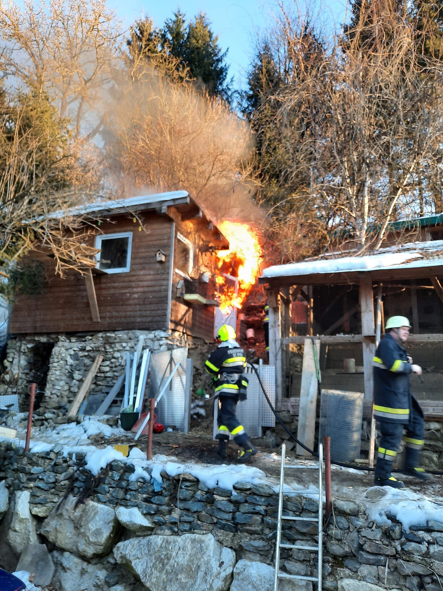 Für die drei Vierbeiner konnten die Feuerwehrmänner nichts mehr ausrichten.