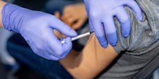 Wien schließt nun Impflücken gegen Zecken und Masern