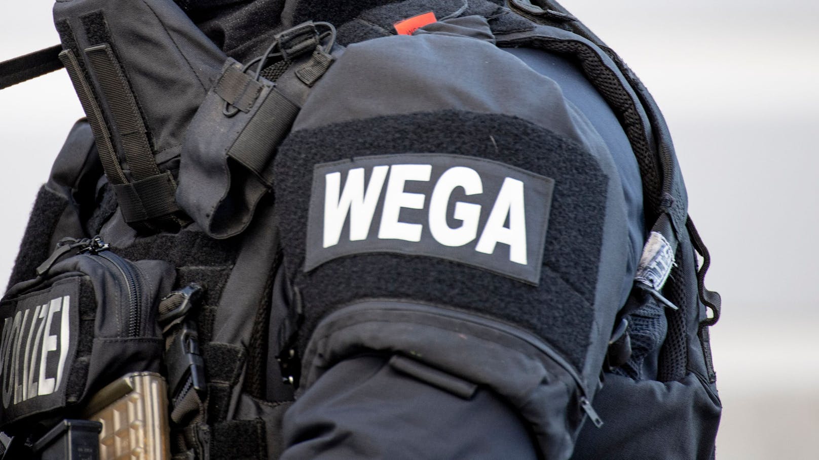 WEGA-Polizisten halfen, den Tobenden zu bändigen. (Symbolbild)