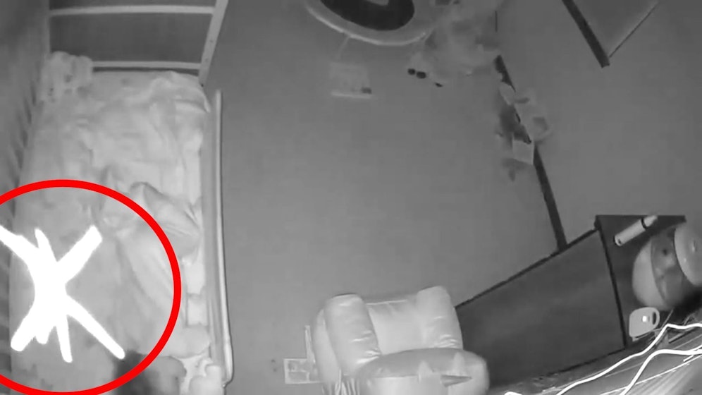 Die Spinne seilt sich in das Gitterbett ab.