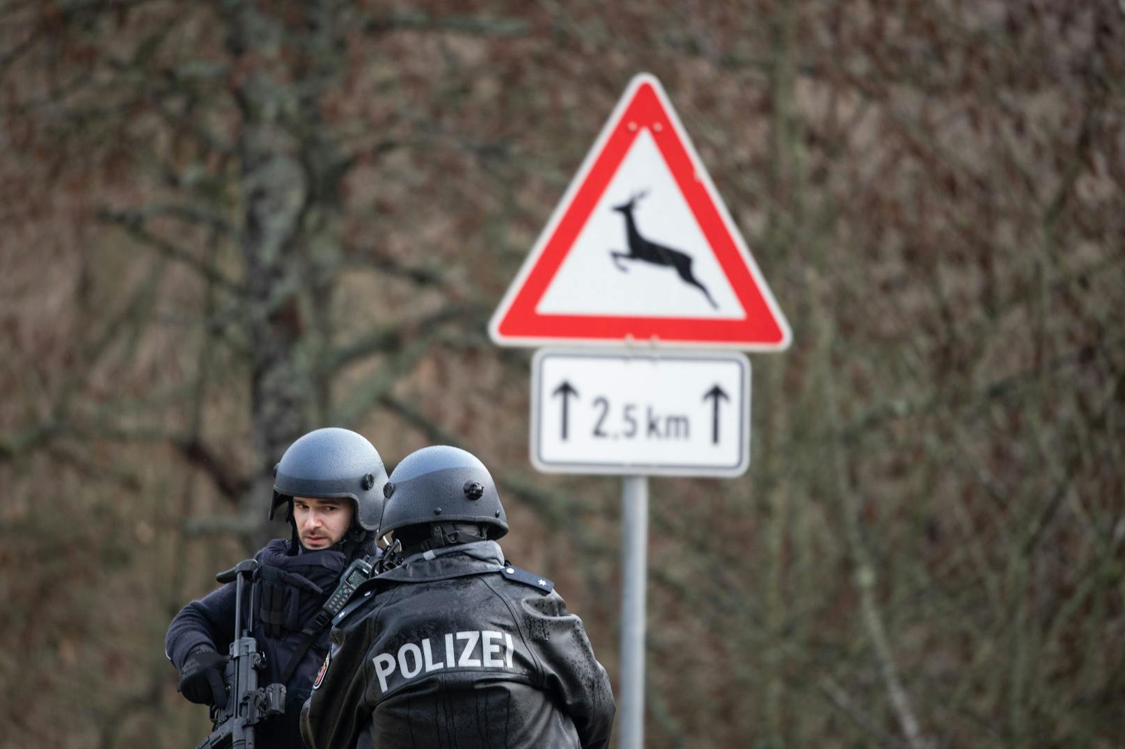 Schließlich wurden im Auto der Täter Wild gefunden.&nbsp;