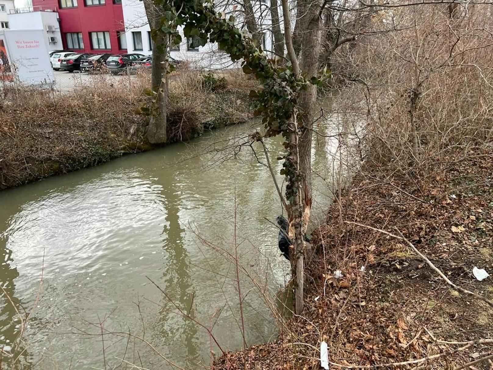 Mann stürzte in Kanal: Rettungsaktion in Trumau