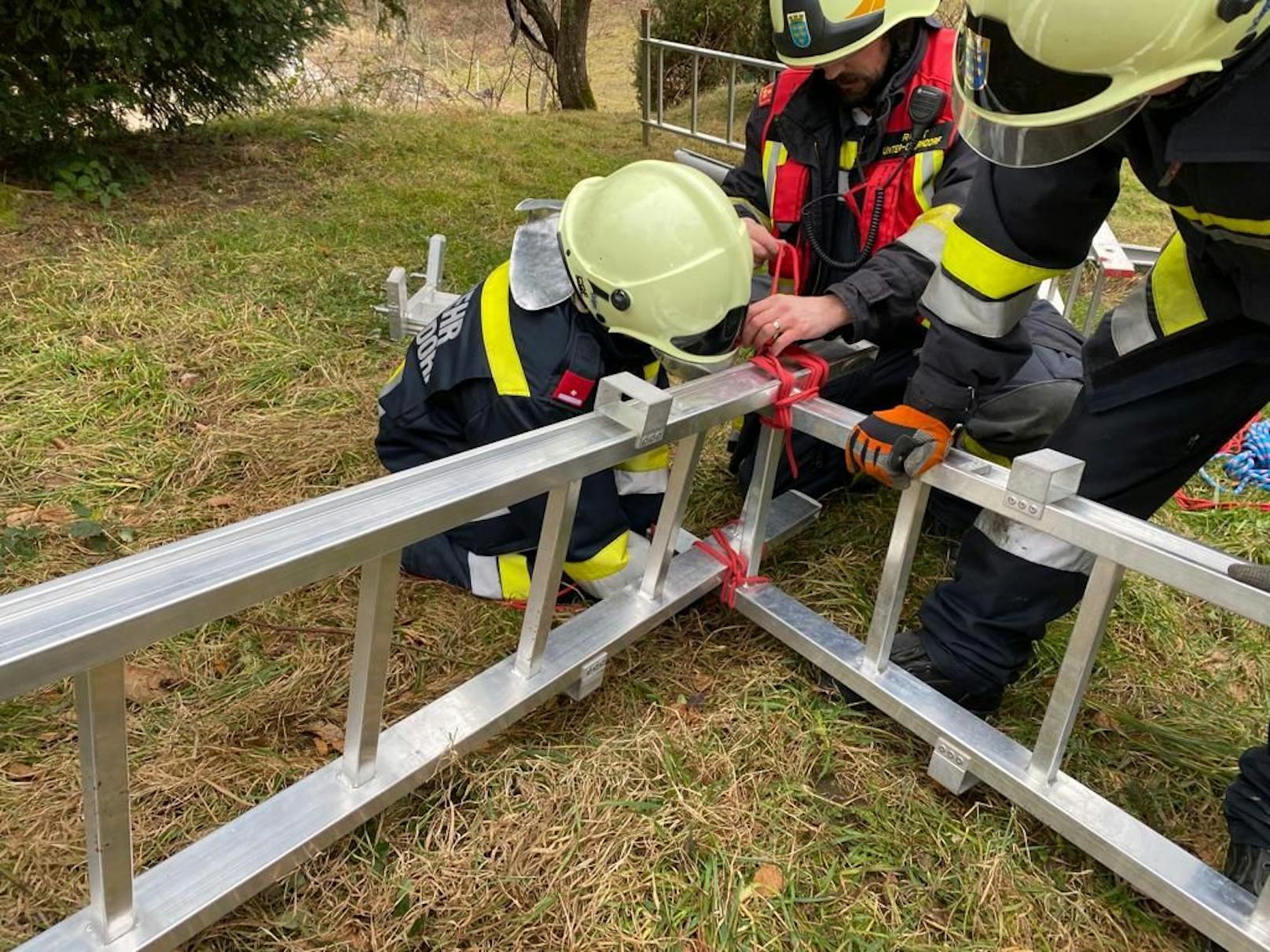 Feuerwehr rettete Hund aus Brunnenschacht