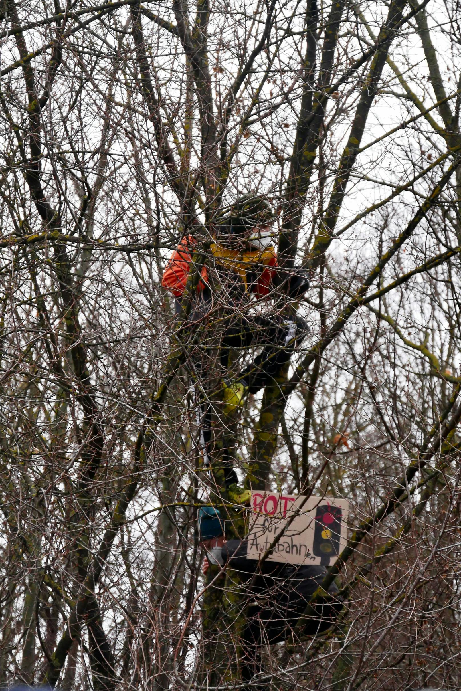 Die Aktivisten verschanzten sich in den Bäumen.
