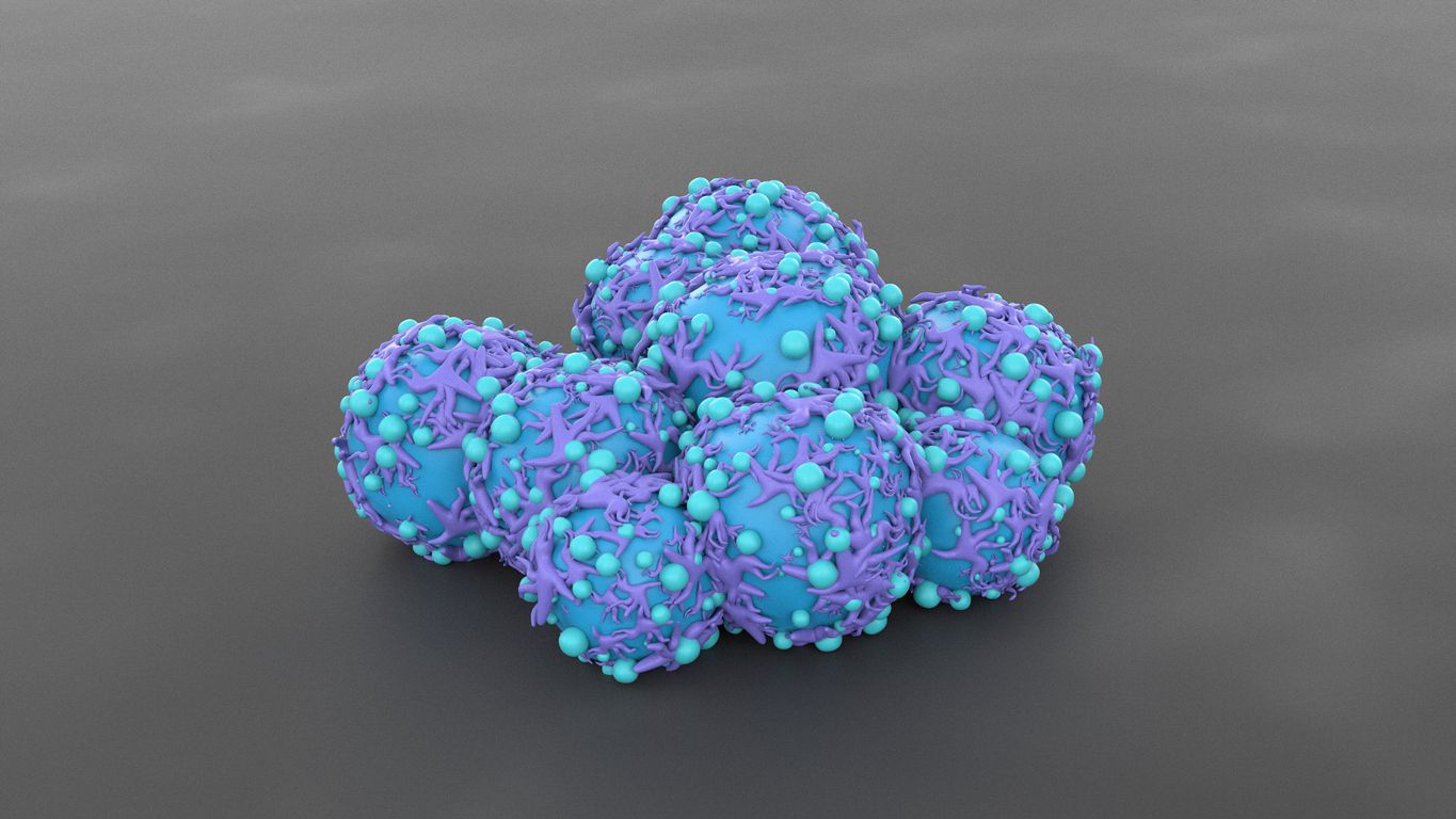 Cervical Cancer Cell