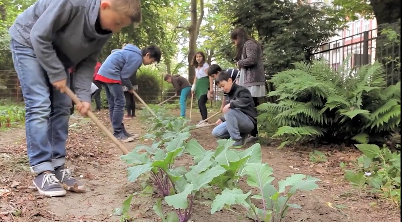 Im Rahmen des Bildungsprogramms Gemüseackerdemie lernen die Schüler verschiedenste Gemüsearten anzubauen.
