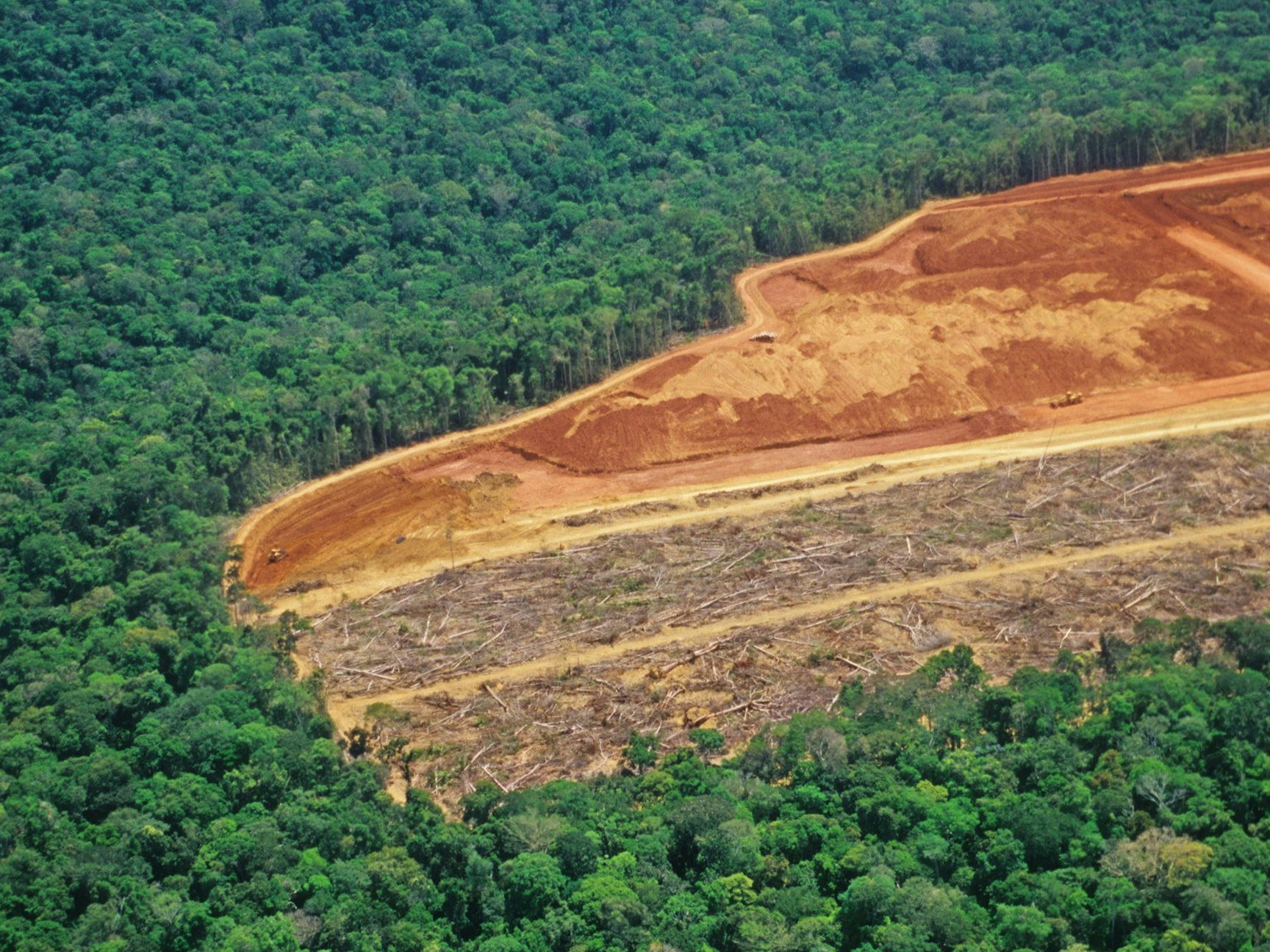 Deforestation in the Amazon - detail of an area