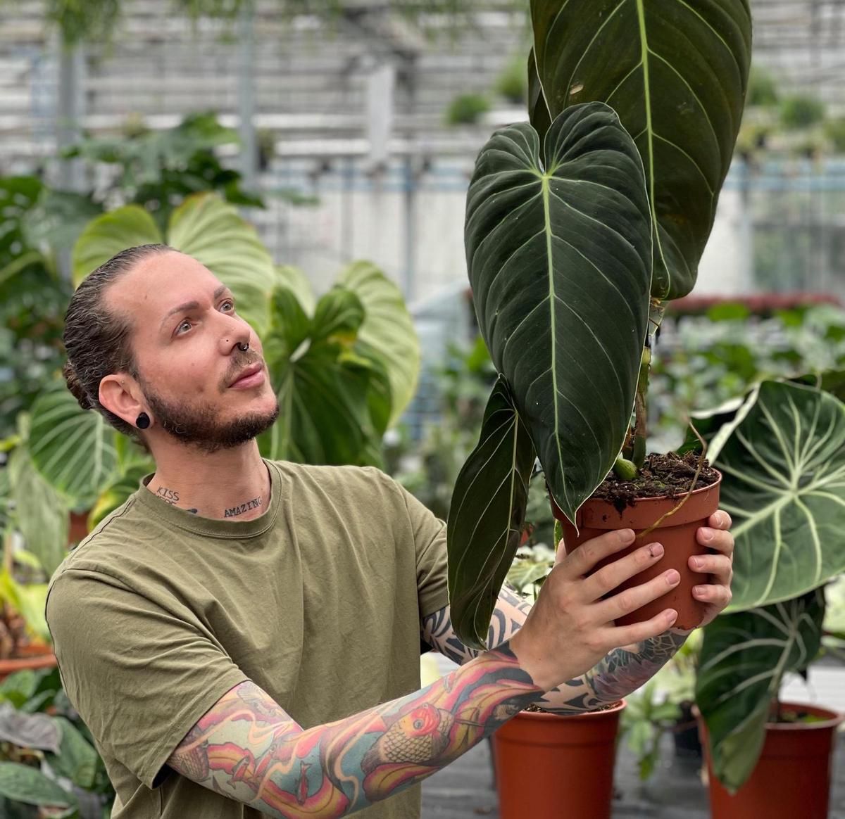 Mit seinem Unternehmen Skinkplants hat sich Ronny auf seltene und teure Pflanzen spezialisiert.